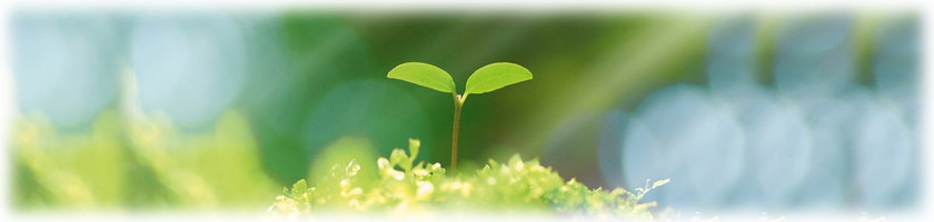 �L����Љ��R�G���W�j�A�����O,�G�A�R������,�G�A�R����������